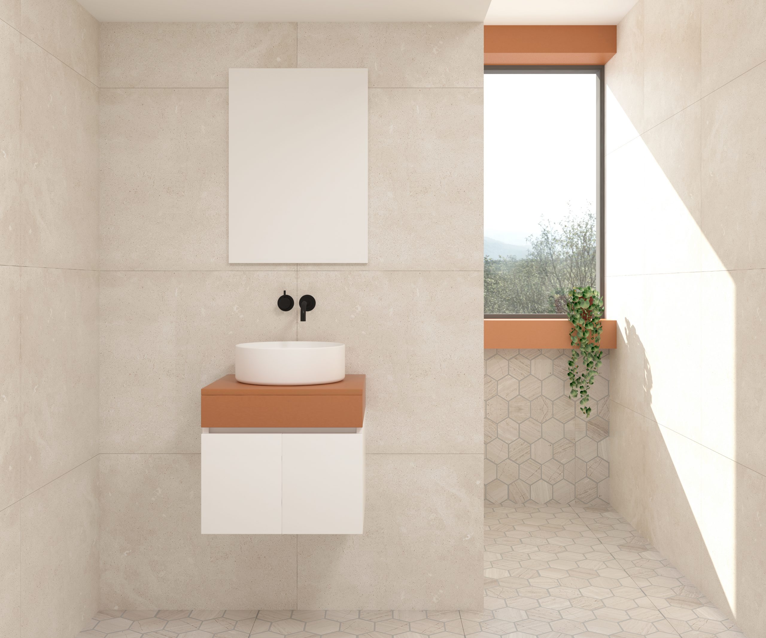 P1SOML2ACFC-1-scaled